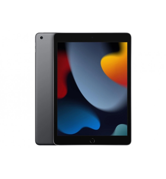 IPad Gen 9 256Gb Wifi