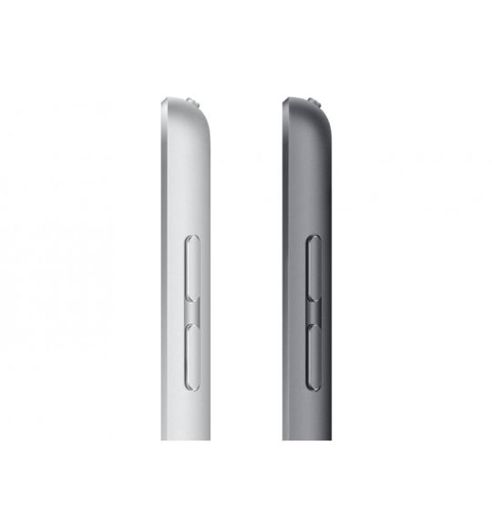 IPad Gen 9 256Gb Wifi